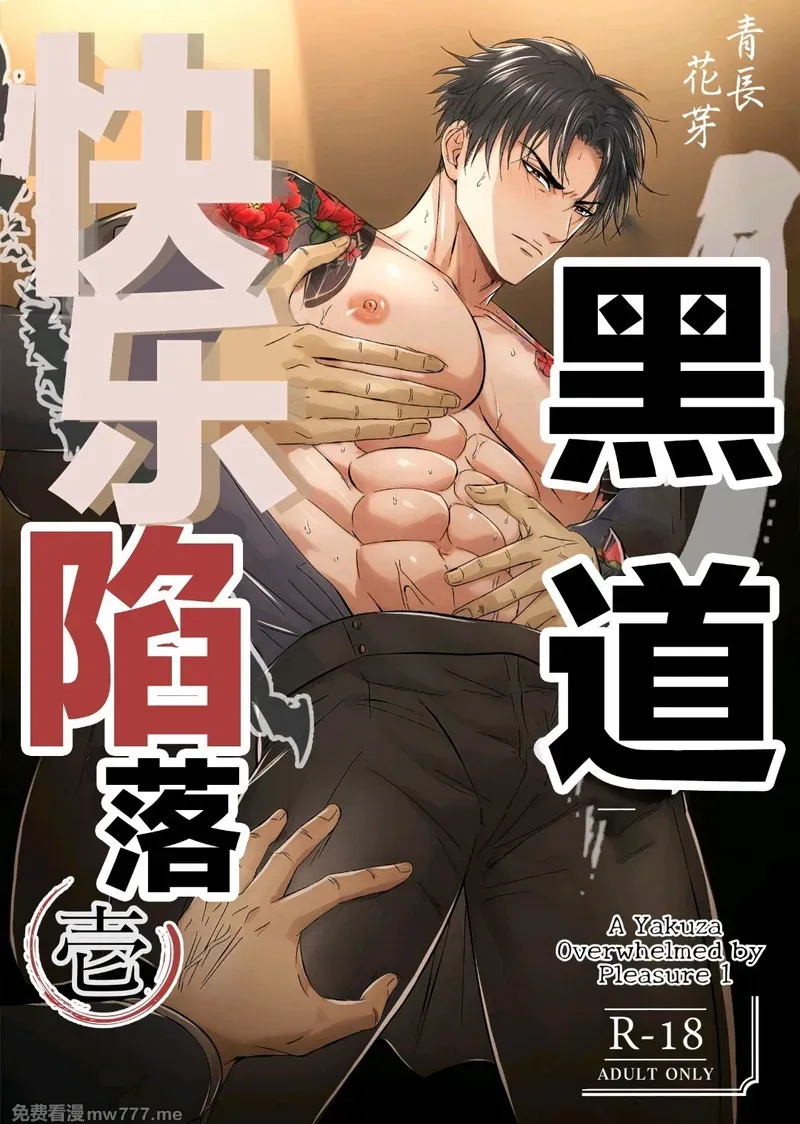 封面