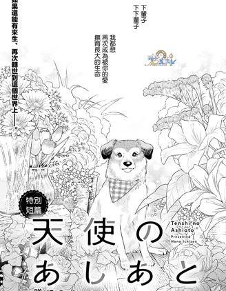 封面